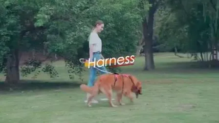 Arnés para perros y gatos al aire libre, portátil, ajustable, productos para mascotas Mokofuwa