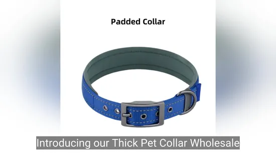 Productos para perros pequeños de nailon Suministros para mascotas Collar para mascotas