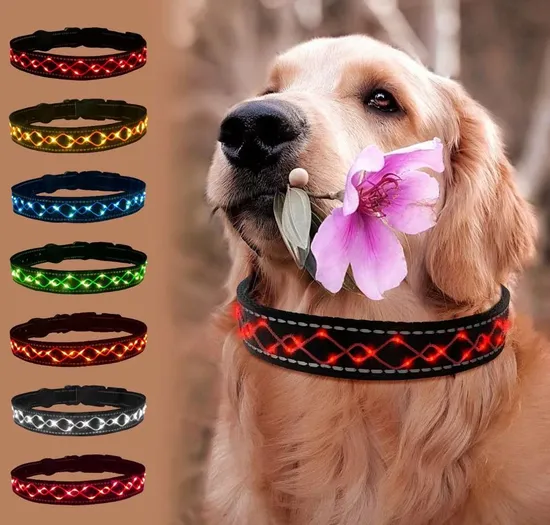 Collares para mascotas LED bordados personalizados Collar de perro LED ajustable