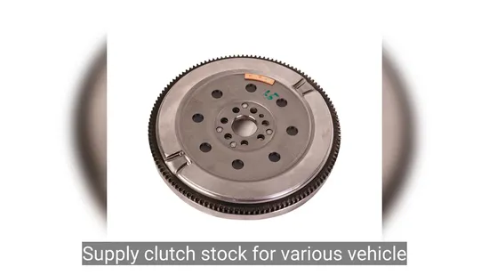 Cy produce profesionalmente Eco de alta calidad