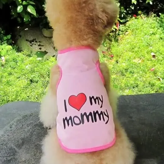 Ropa barata al por mayor para perros de fábrica